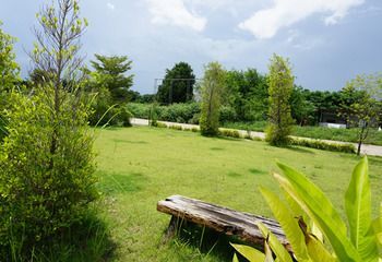 Outdoor Pictures 20