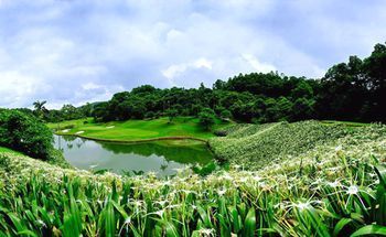Outdoor Pictures 20