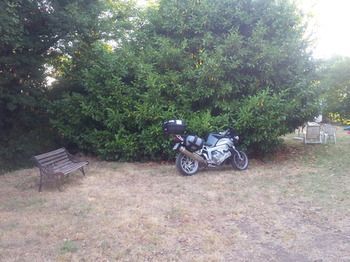 Outdoor Pictures 6