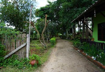 Outdoor Pictures 22