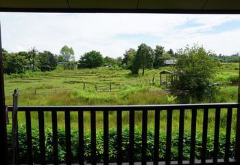 Outdoor Pictures 19