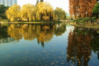 Outdoor Pictures 23