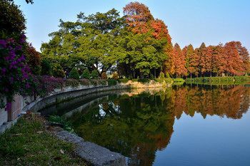Outdoor Pictures 22