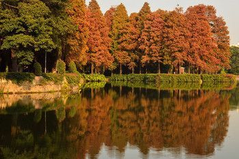Outdoor Pictures 20