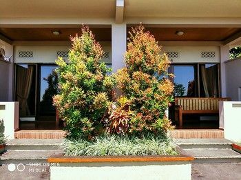 Outdoor Pictures 22