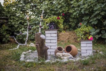 Outdoor Pictures 20