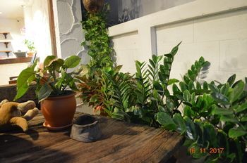 Outdoor Pictures 22