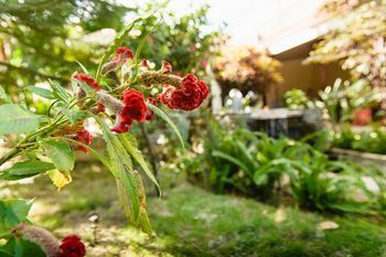 Outdoor Pictures 23