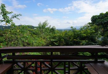 Outdoor Pictures 23
