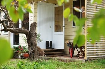 Outdoor Pictures 22