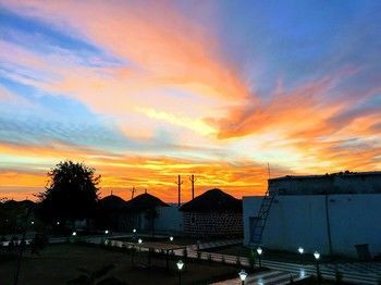 Outdoor Pictures 17