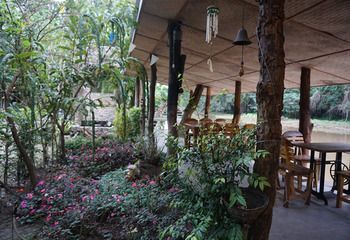 Outdoor Pictures 9