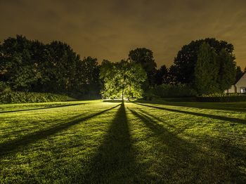 Outdoor Pictures 22