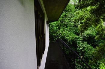 Outdoor Pictures 12