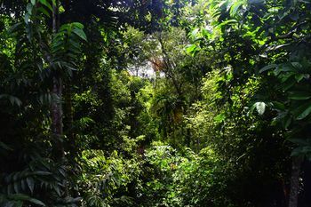 Outdoor Pictures 24