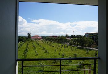 Outdoor Pictures 24