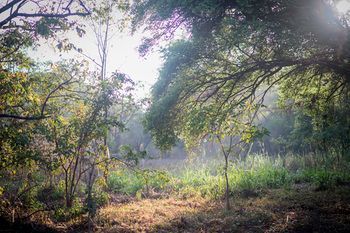 Outdoor Pictures 22