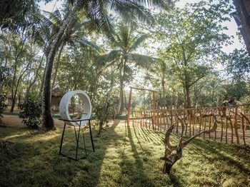 Outdoor Pictures 21