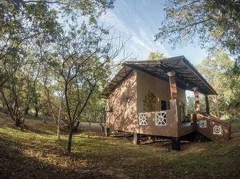 Outdoor Pictures 24