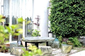 Outdoor Pictures 22
