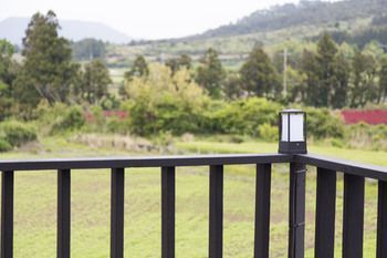 Outdoor Pictures 6