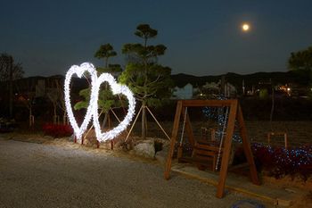 Outdoor Pictures 24