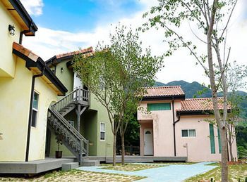 Hadong Olive Pension