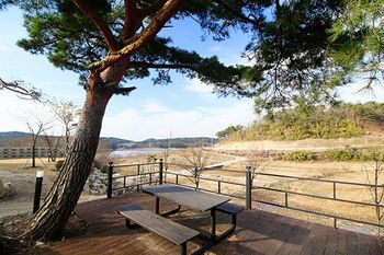 Outdoor Pictures 7