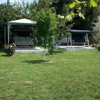 Outdoor Pictures 7