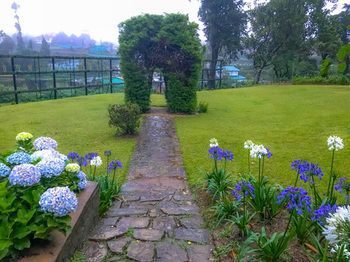 Outdoor Pictures 16