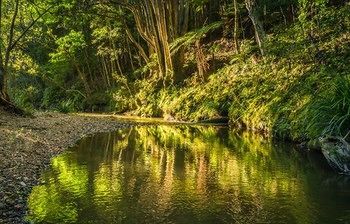 Outdoor Pictures 21