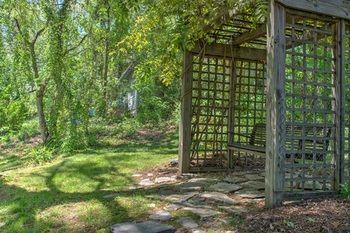 Outdoor Pictures 9