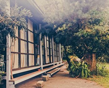 Outdoor Pictures 1