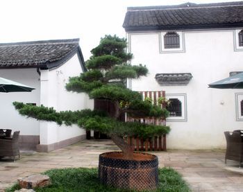 Courtyard-Lestay
