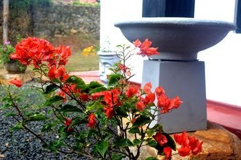 Outdoor Pictures 16