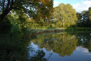 Outdoor Pictures 22