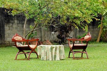 Outdoor Pictures 17