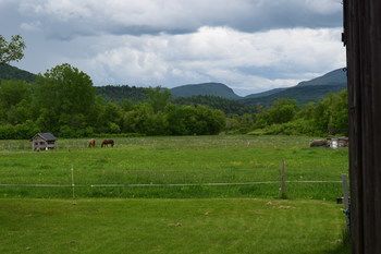Outdoor Pictures 15