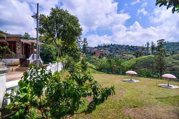 Outdoor Pictures 20