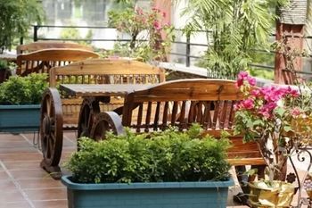 Outdoor Pictures 22