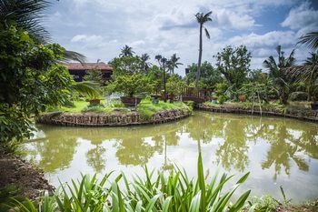 Outdoor Pictures 21