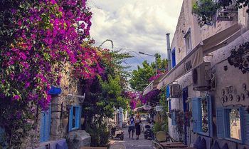 Outdoor Pictures 24