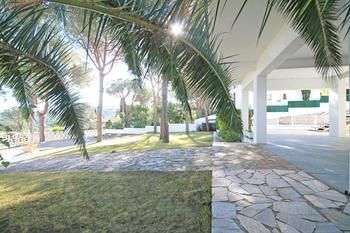 Outdoor Pictures 21