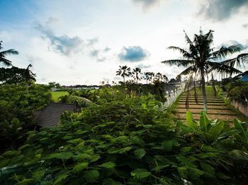 Outdoor Pictures 20