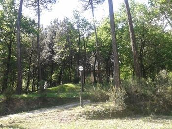 Outdoor Pictures 10