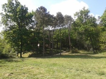 Outdoor Pictures 11