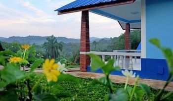 Outdoor Pictures 19