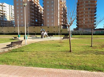 Outdoor Pictures 12