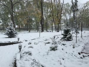 Outdoor Pictures 14