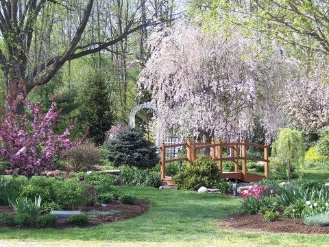 Outdoor Pictures 20